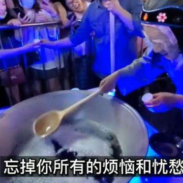 为什么郑州孟婆汤会如此火爆？